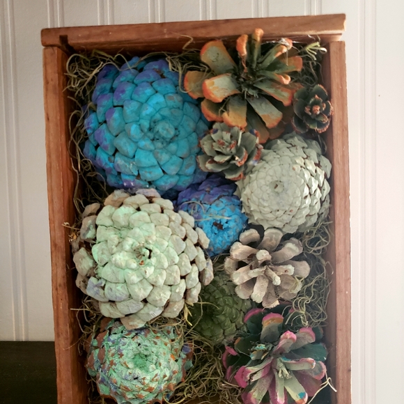 Succulent display handcrafted from pinecones new - Picture 2 of 4